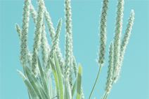 正规的代充平台推荐的ddos在线攻击工具